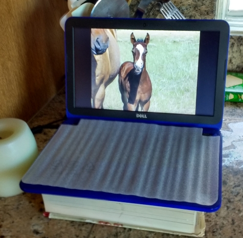 SWT Photo Frame App